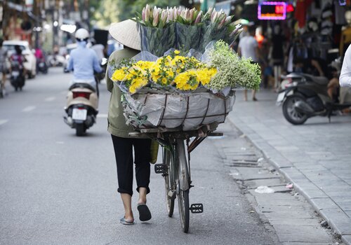 vendeuse de fleurs au vietnam 